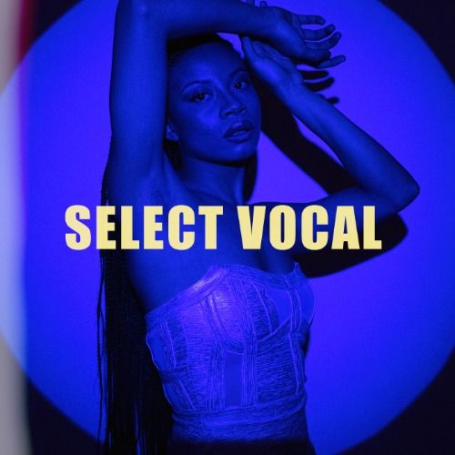 Buy EDM Ghost Production track - Select Vocal