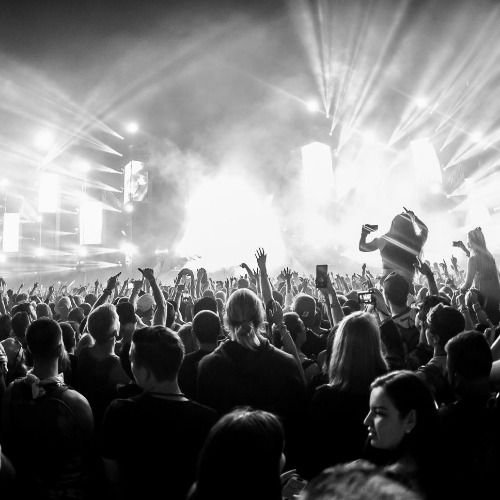 Buy EDM Ghost Production track - Simulation