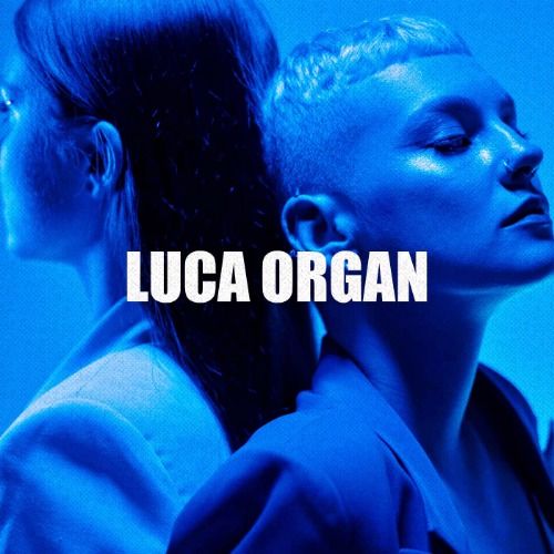 Buy EDM Ghost Production track - Luca Organ