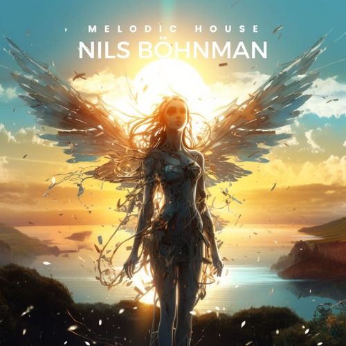 Buy EDM Ghost Production track - Nils Böhnman