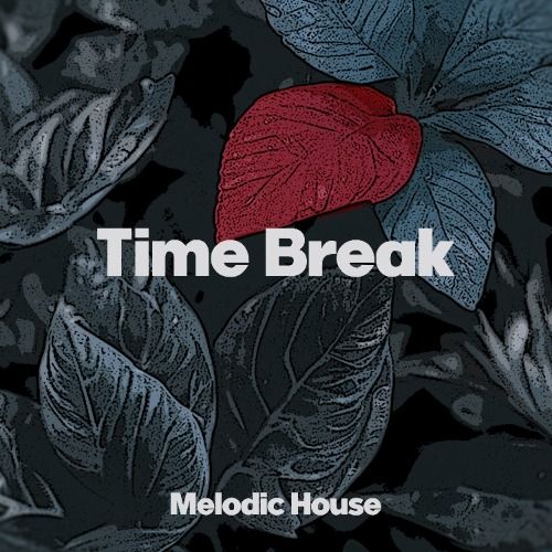 Buy EDM Ghost Production track - Time Break