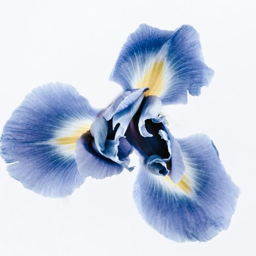 Buy EDM Ghost Production track - Alright