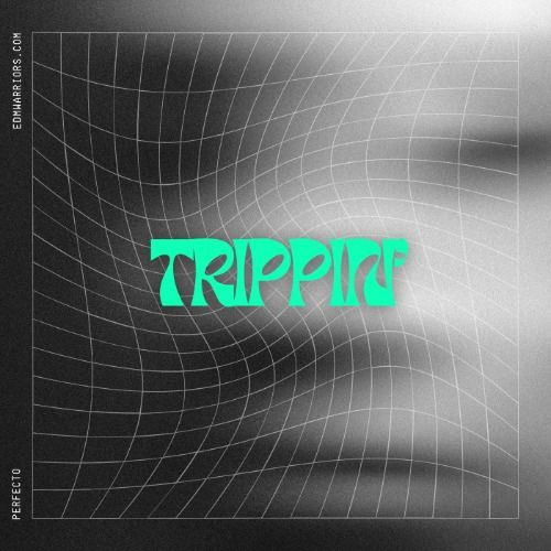 Buy EDM Ghost Production track - Trippin'
