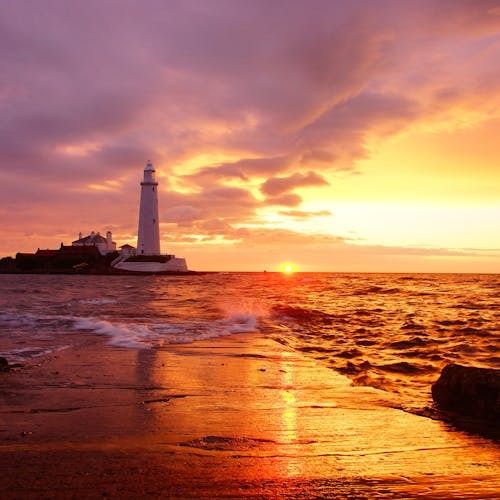 Buy EDM Ghost Production track - ASOT 2024