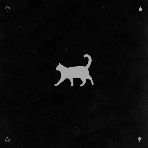 Buy EDM Ghost Production track - Meow