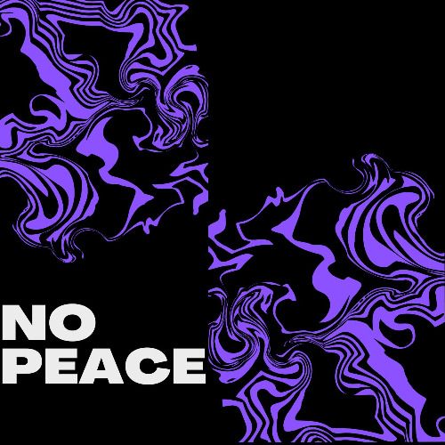 Buy EDM Ghost Production track - No Peace