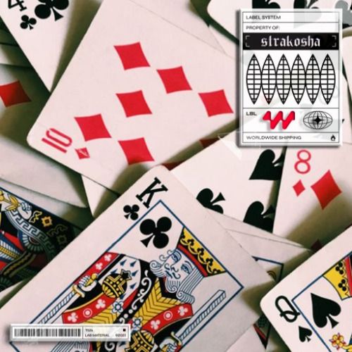 Buy EDM Ghost Production track - Matroda x Terminal