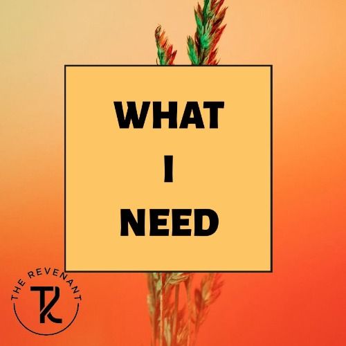 Buy EDM Ghost Production track - What I Need