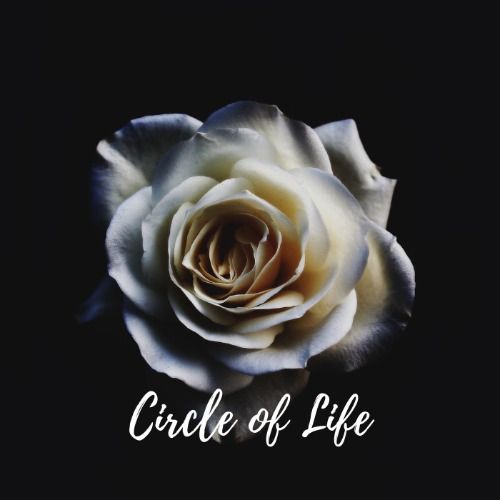 Buy EDM Ghost Production track - Circle Of Life