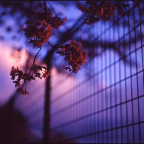 Buy EDM Ghost Production track - Better Off