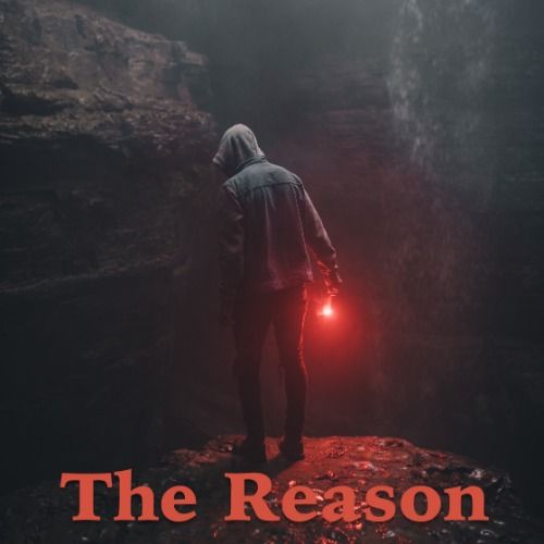 Buy EDM Ghost Production track - The Reason