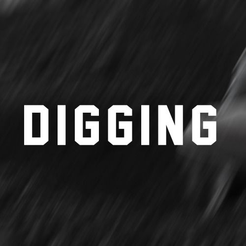 Buy EDM Ghost Production track - Digging