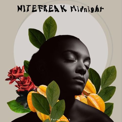 Buy EDM Ghost Production track - Nitefreak Midnight