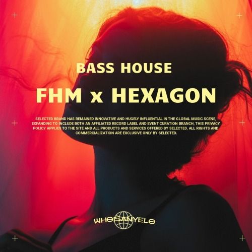 Buy EDM Ghost Production track - FHM x Hexagon