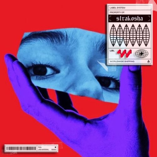 Buy EDM Ghost Production track - Underground Terminal