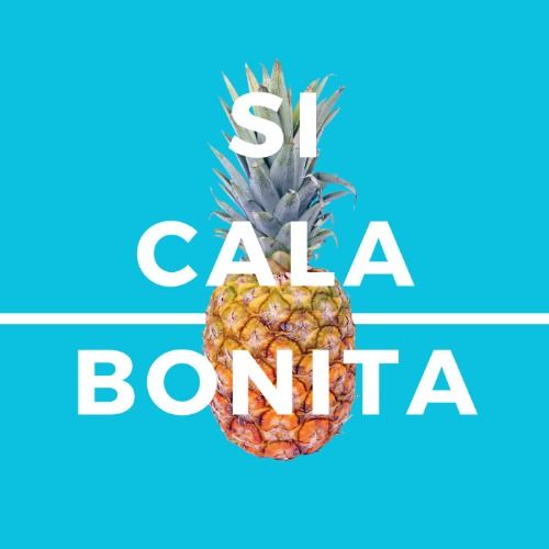 Buy EDM Ghost Production track - Si Cala Bonita