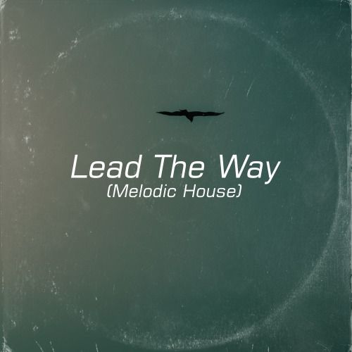 Buy EDM Ghost Production track - Lead The Way