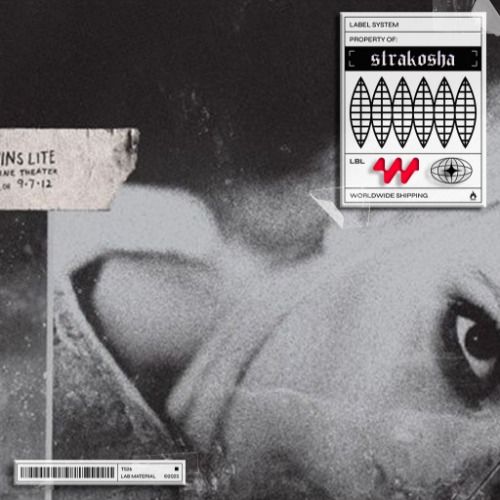 Buy EDM Ghost Production track - Underground x Terminal