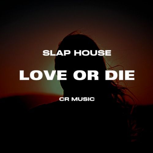 Buy EDM Ghost Production track - Love Or Die