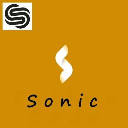 Buy EDM Ghost Production track - Sonic (Tech House)