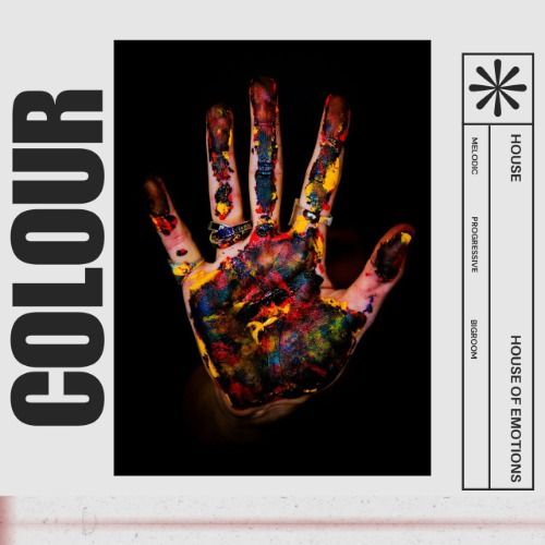 Buy EDM Ghost Production track - Colour