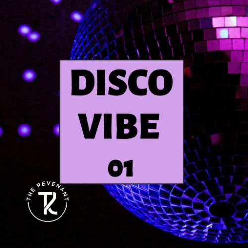 Buy EDM Ghost Production track - Disco Vibe 01