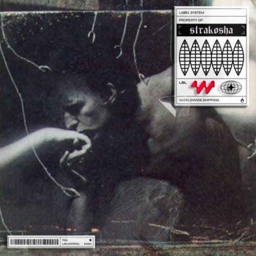 Buy EDM Ghost Production track - If I Knew Better