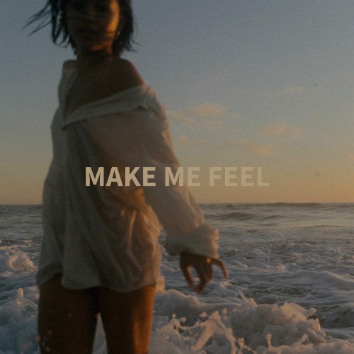 Buy EDM Ghost Production track - Make Me Feel