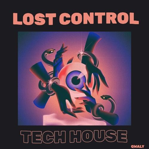 Buy EDM Ghost Production track - Lost Control