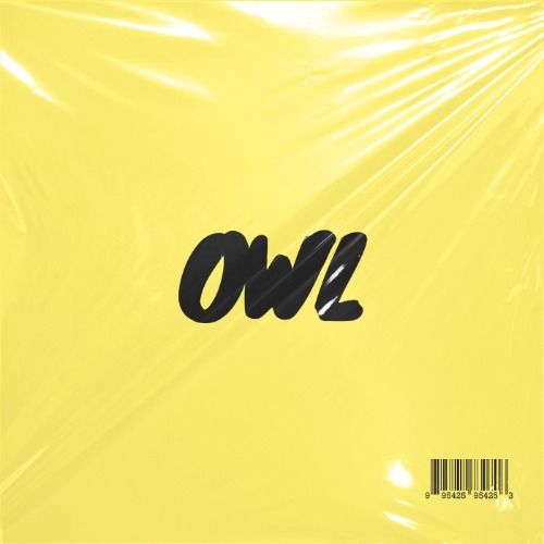 Buy EDM Ghost Production track - Owl