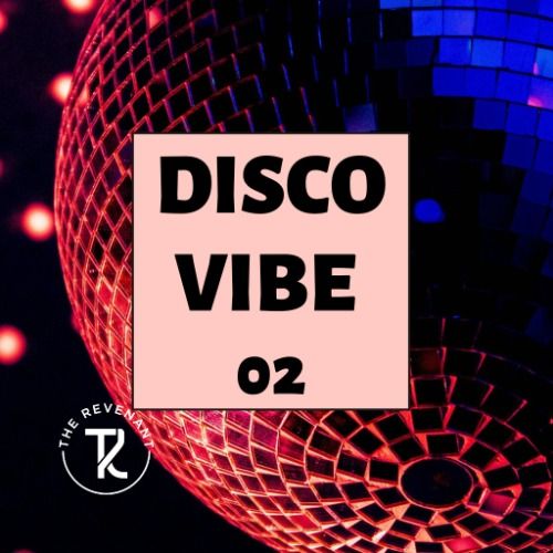 Buy EDM Ghost Production track - Disco Vibe 02