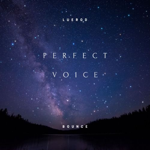 Buy EDM Ghost Production track - Perfect Voice