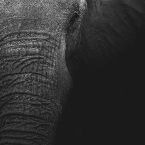 Buy EDM Ghost Production track - Sunlight