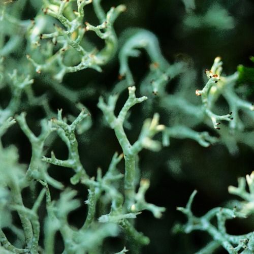 Buy EDM Ghost Production track - Disclousure Vibes