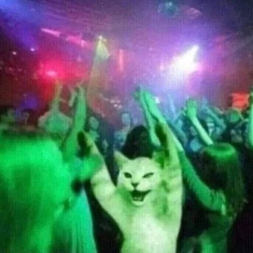 Buy EDM Ghost Production track - Metamorphosis