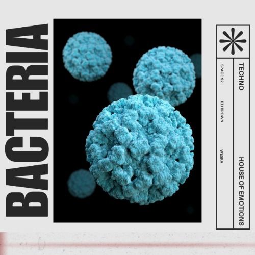 Buy EDM Ghost Production track - Bacteria