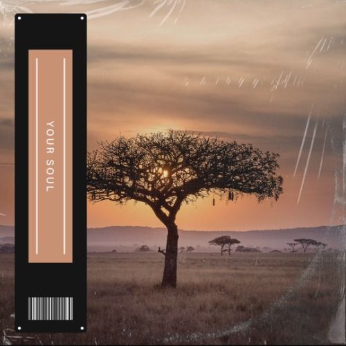 Buy EDM Ghost Production track - Your Soul