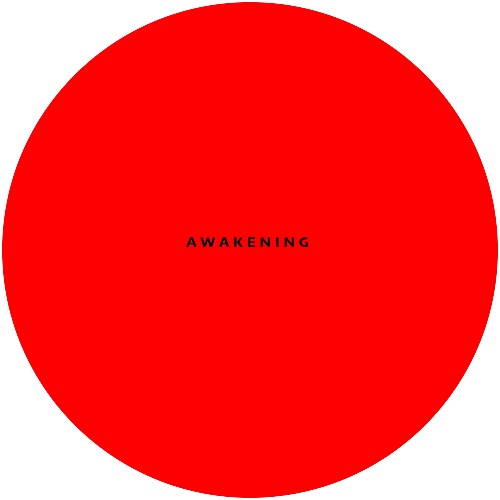 Buy EDM Ghost Production track - Awakening