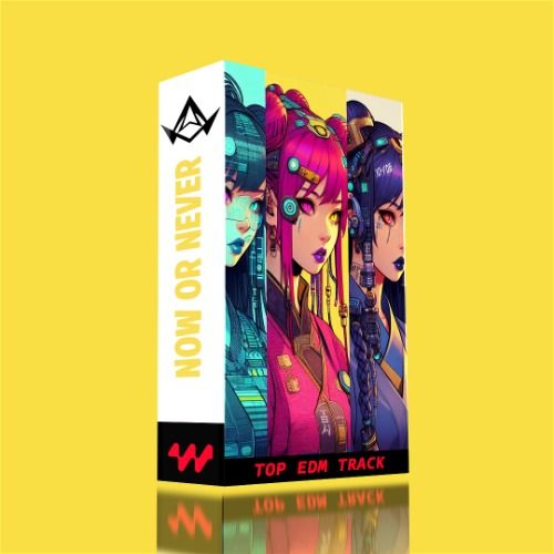 Buy EDM Ghost Production track - Now Or Never