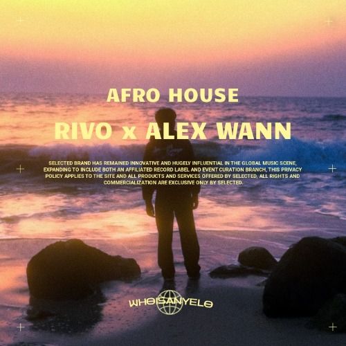 Buy EDM Ghost Production track - Rivo x Alex Wann