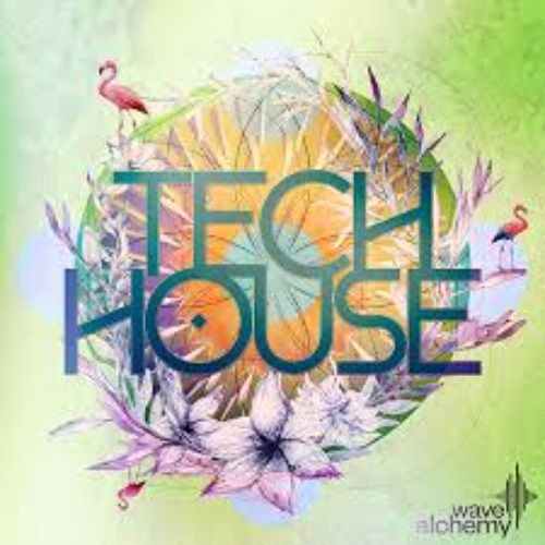 Buy EDM Ghost Production track - Dutka