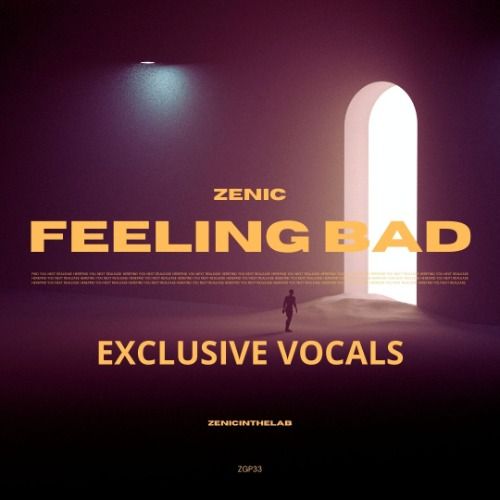 Buy EDM Ghost Production track - Feeling Bad