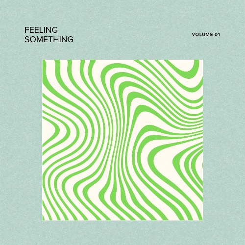 Buy EDM Ghost Production track - Feeling Something