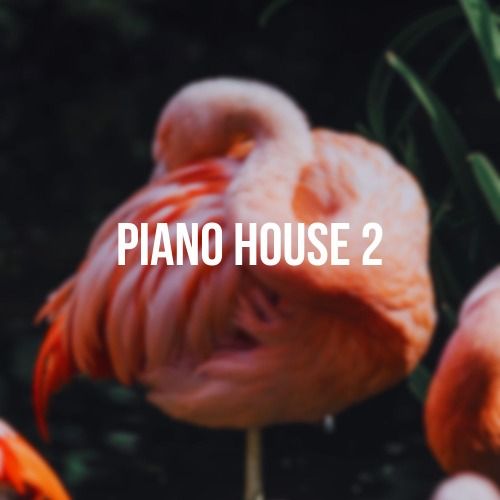 Buy EDM Ghost Production track - Piano House 2