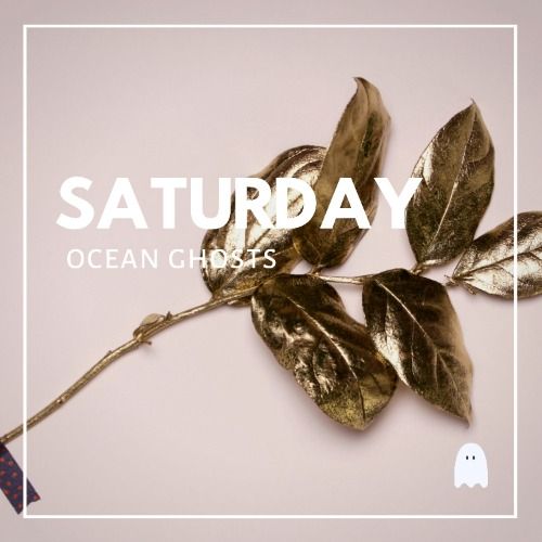 Buy EDM Ghost Production track - Saturday