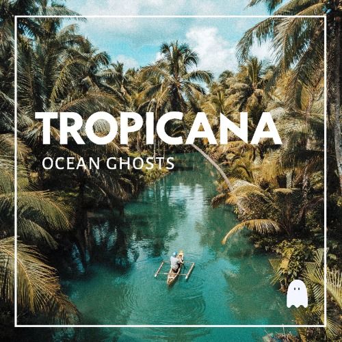 Buy EDM Ghost Production track - Tropicana