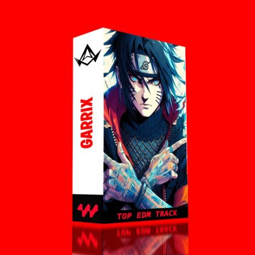 Buy EDM Ghost Production track - Garrix