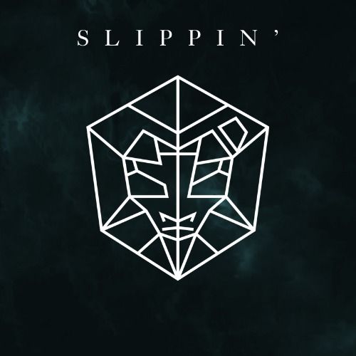 Buy EDM Ghost Production track - Slippin'