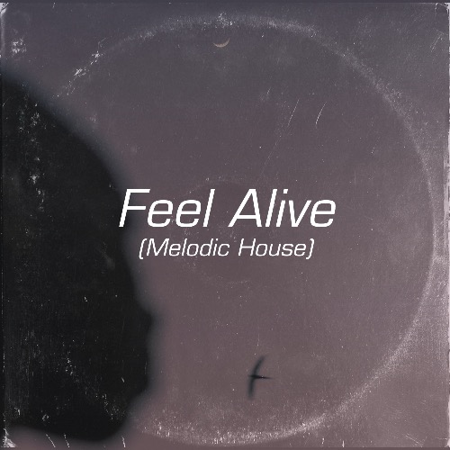 Buy EDM Ghost Production track - Feel Alive