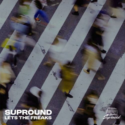 Buy EDM Ghost Production track - Lets The Freaks